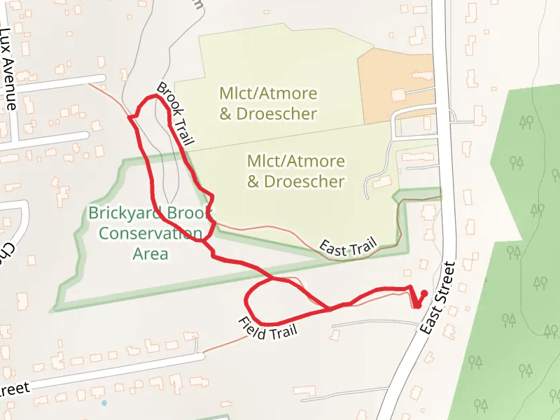 Brickyard and East Loop Trail