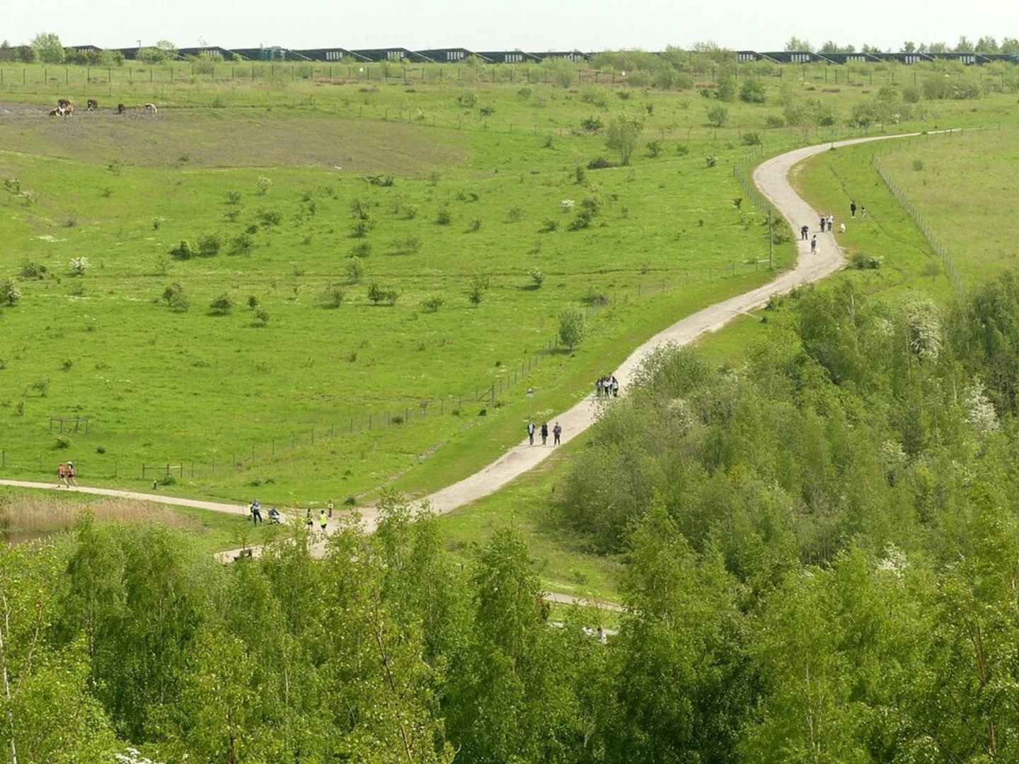 An image depicting the trail Gedling Country Park Walk and its surrounding area.