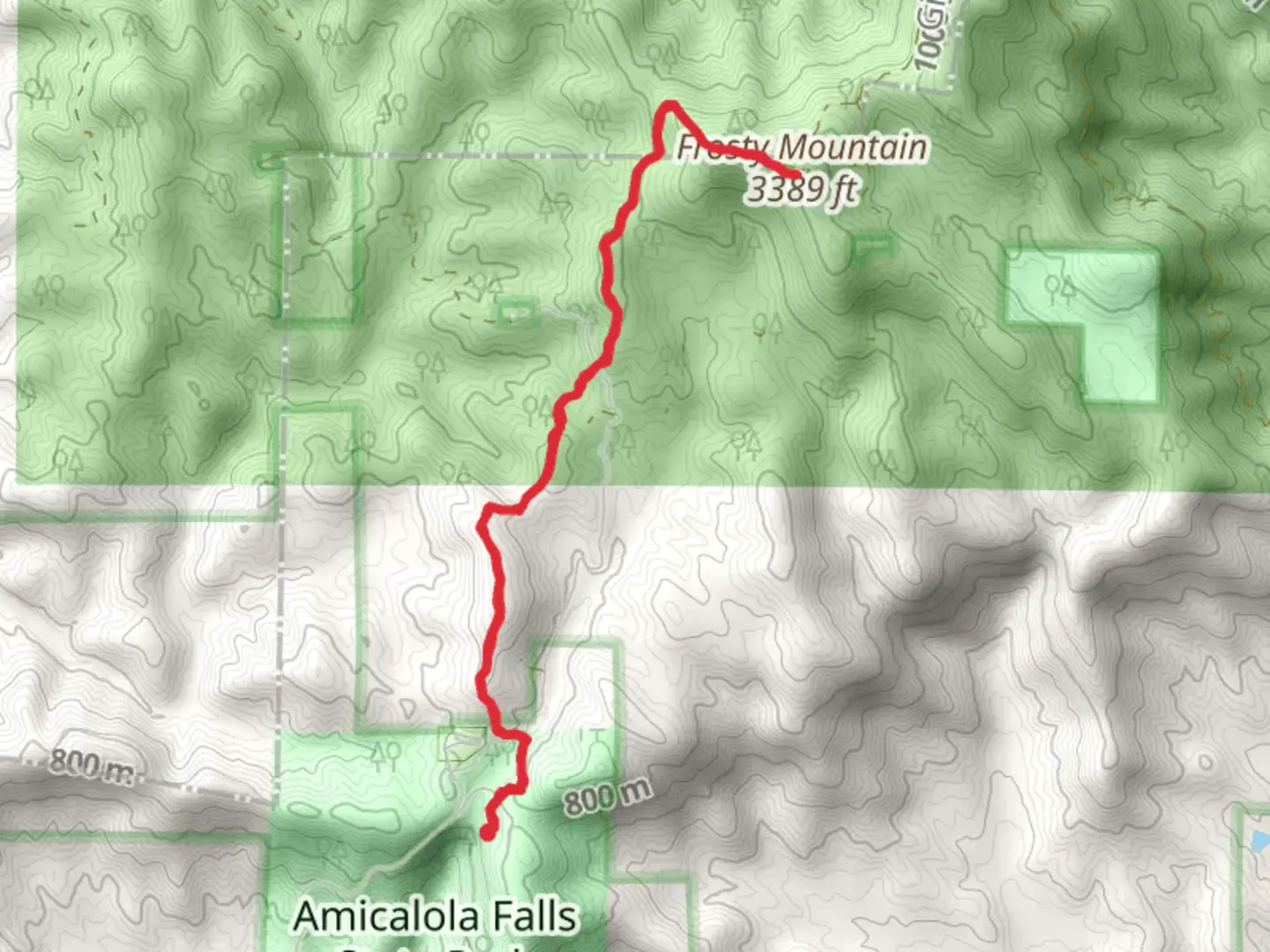 An image depicting the trail Frosty and Amicalola Mountain and its surrounding area.