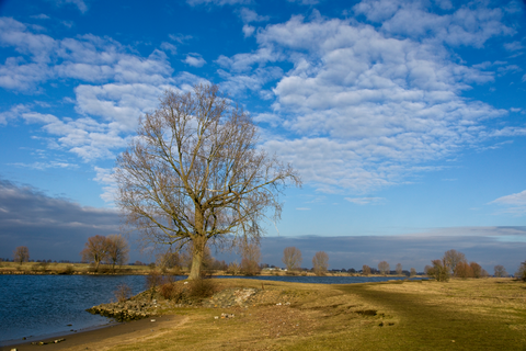 Bovenwaarden Out and Back