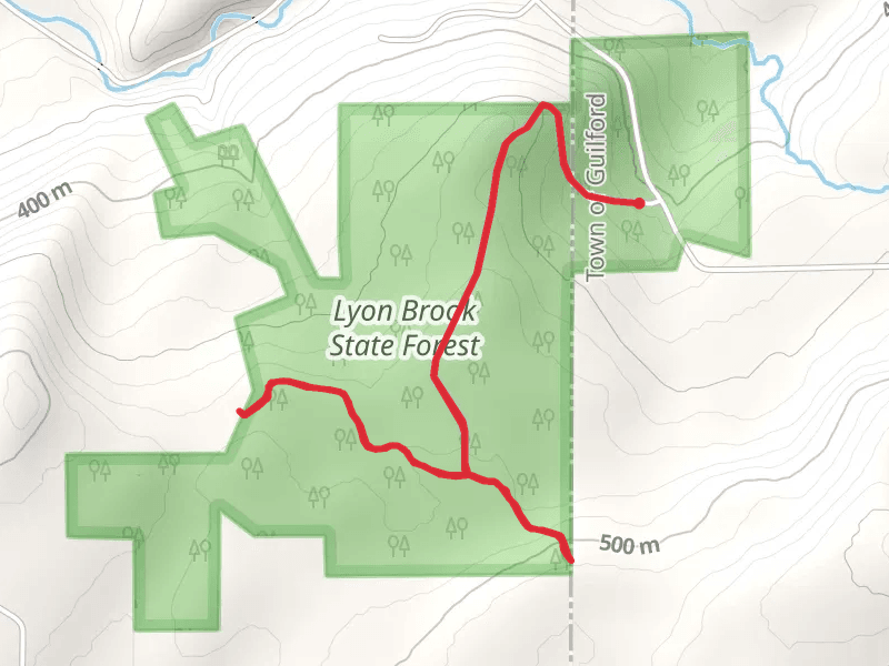 Lyon Brook Trail from Wahlberg Roadck