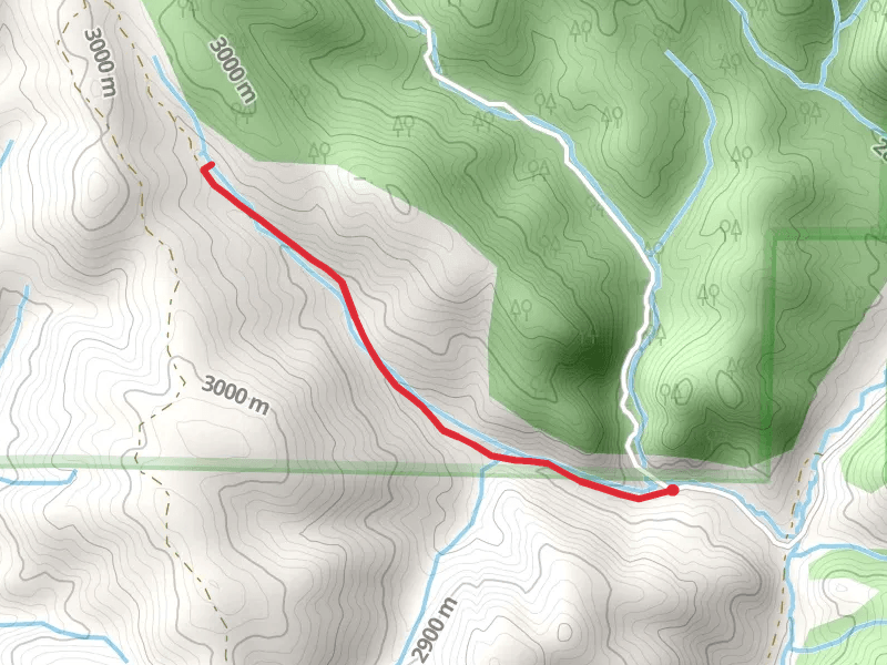 Hopkins Gulch Trail