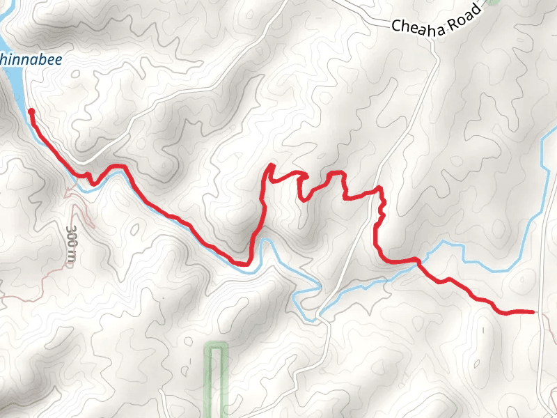 Chinnabee Silent Trail
