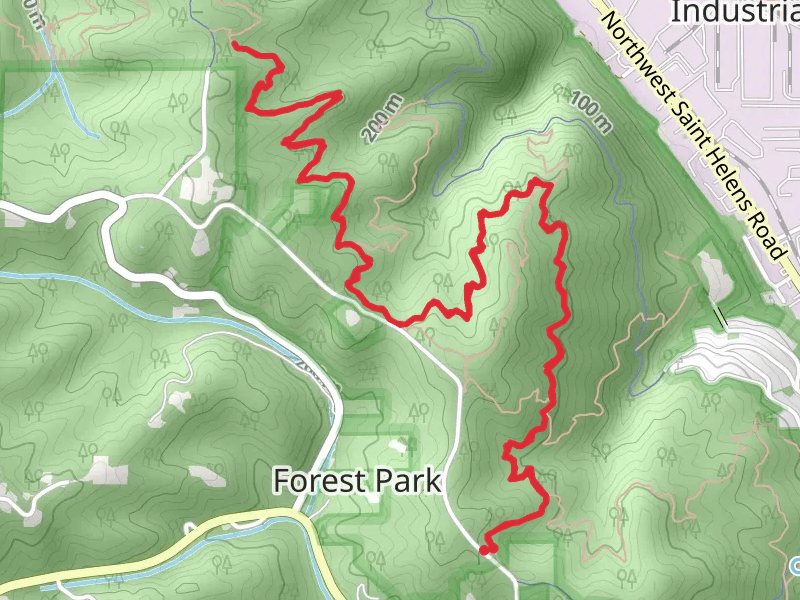 Birch Trail and Wildwood Trail