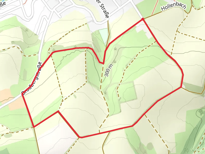 Brodbergstraße Loop