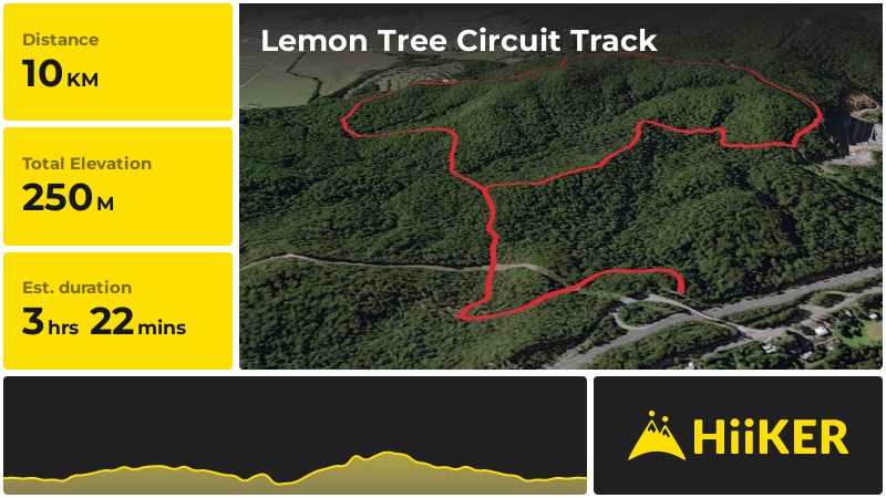 Lemon Tree Circuit Track | Sunshine Coast | Queensland