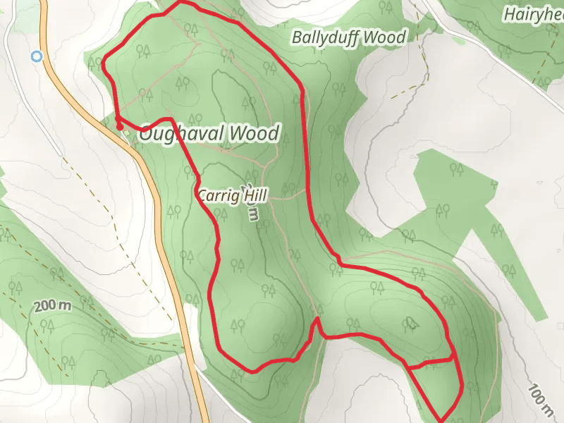Oughaval Woods - Cobbler's Castle Walk