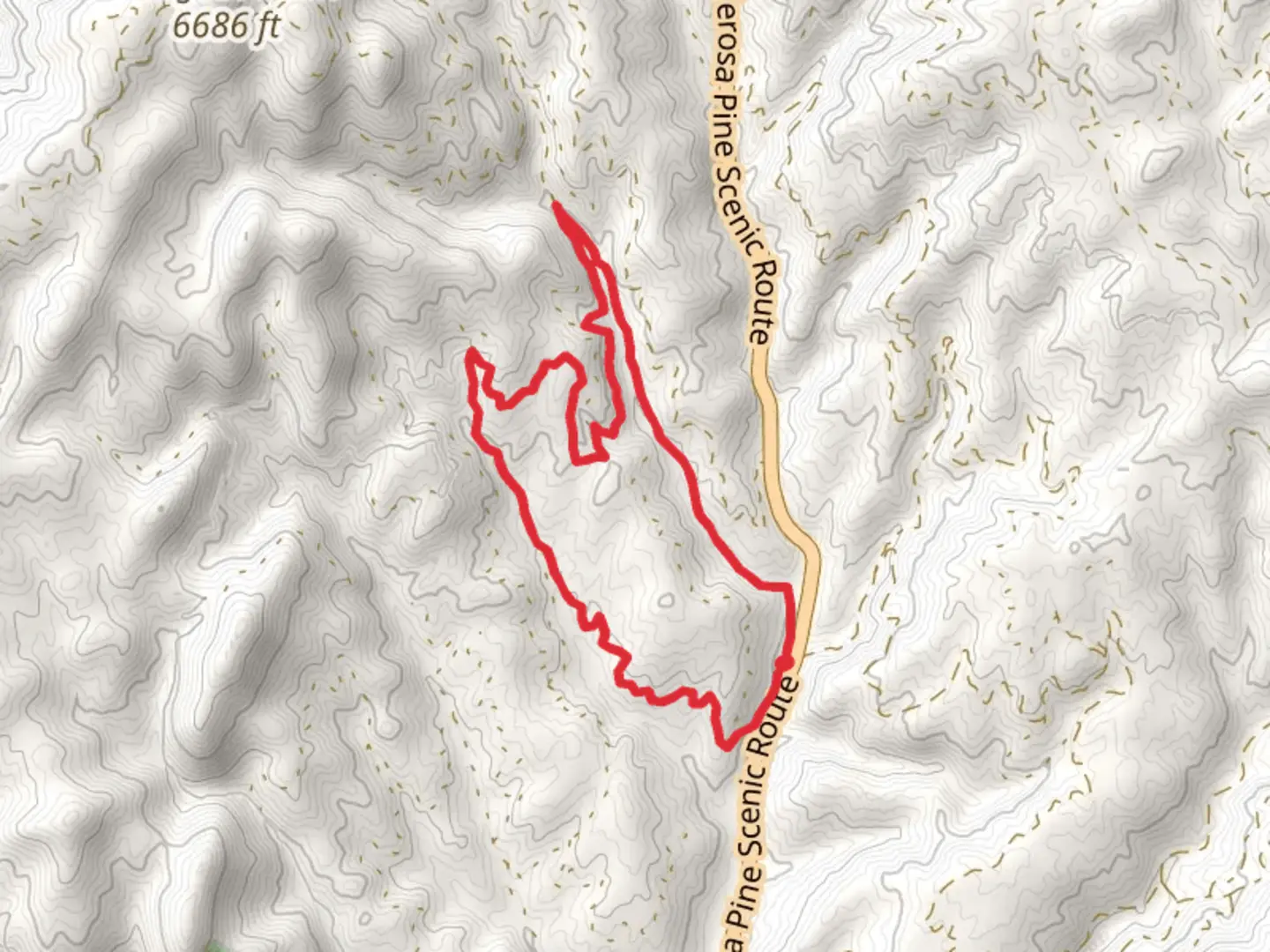 An image depicting the trail Gold Fork Loop and its surrounding area.