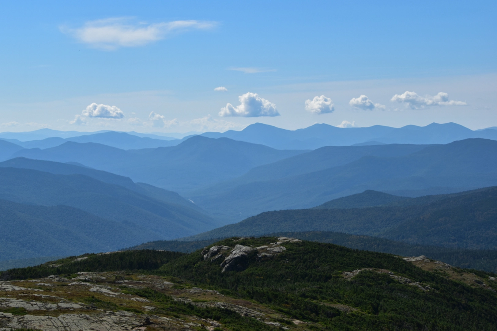 An image depicting the trail Rocky Branch Trail and its surrounding area.