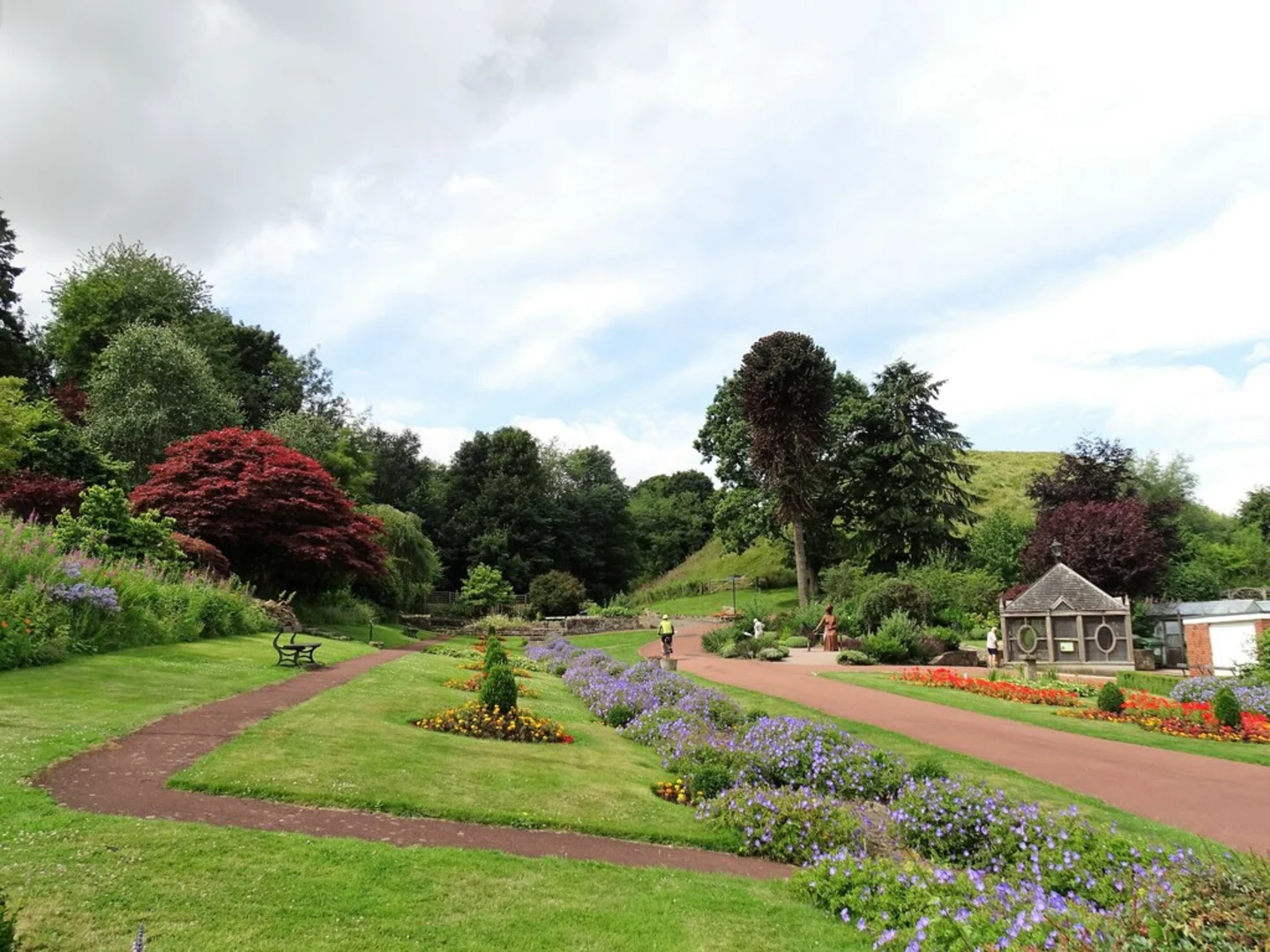 An image depicting the trail Pegswood Moor Country Park and Carlisle Park Loop and its surrounding area.
