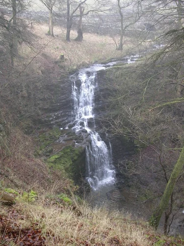 Scaleber Force Walk