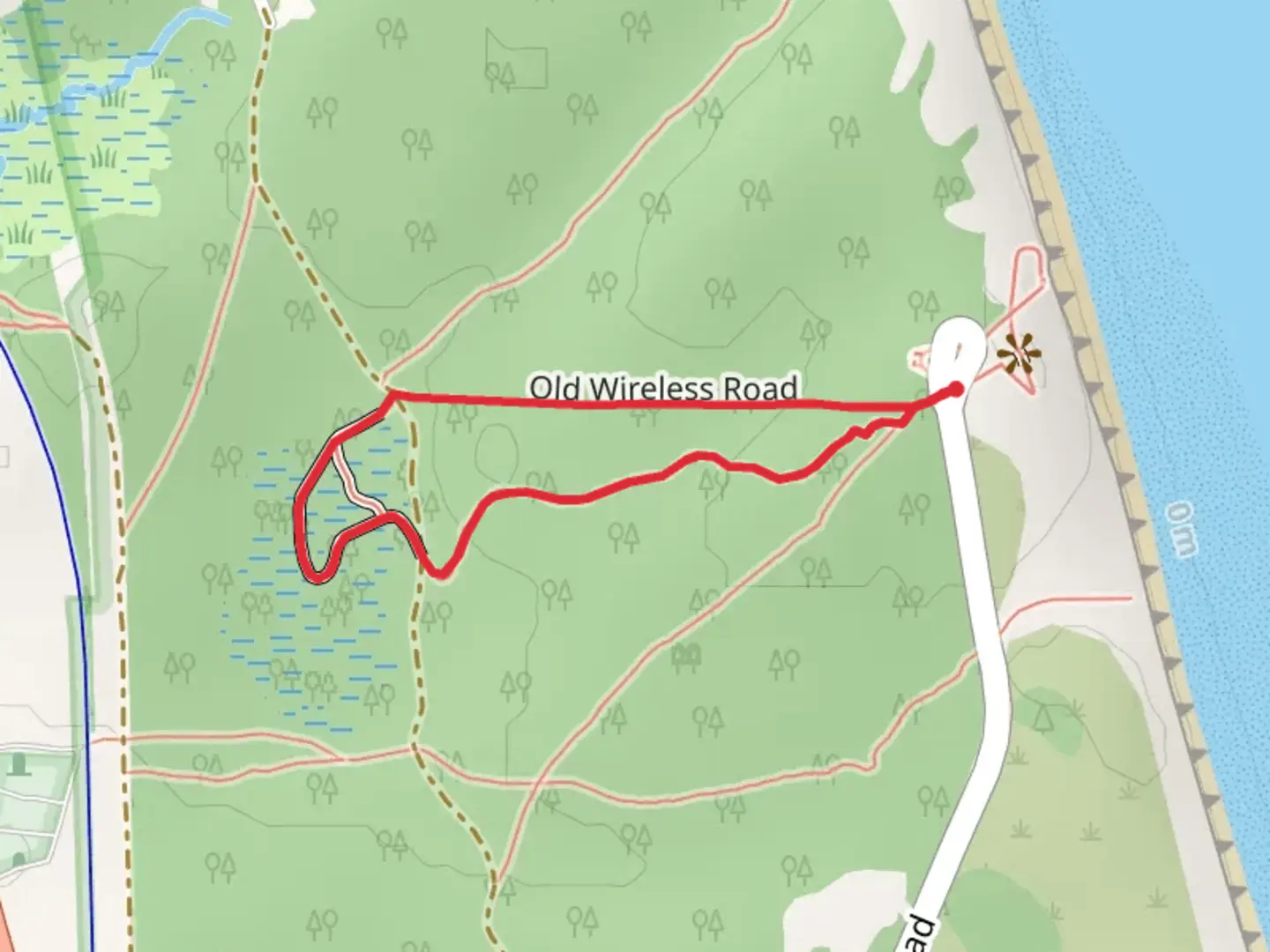 An image depicting the trail Atlantic White Cedar Swamp Trail Loop and its surrounding area.