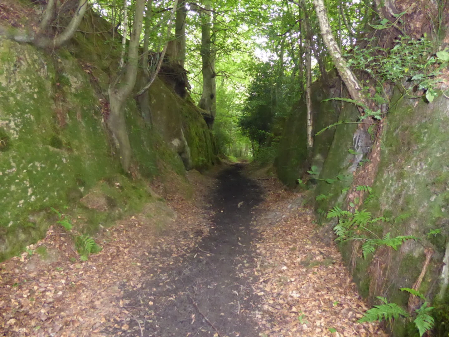 An image depicting the trail Markbeech to Hill Hoath Loop and its surrounding area.