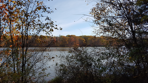 Findley Lake via Hickory Grove Trail and Lake Trail