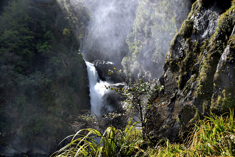 Hollyford Track - Hidden Falls Track