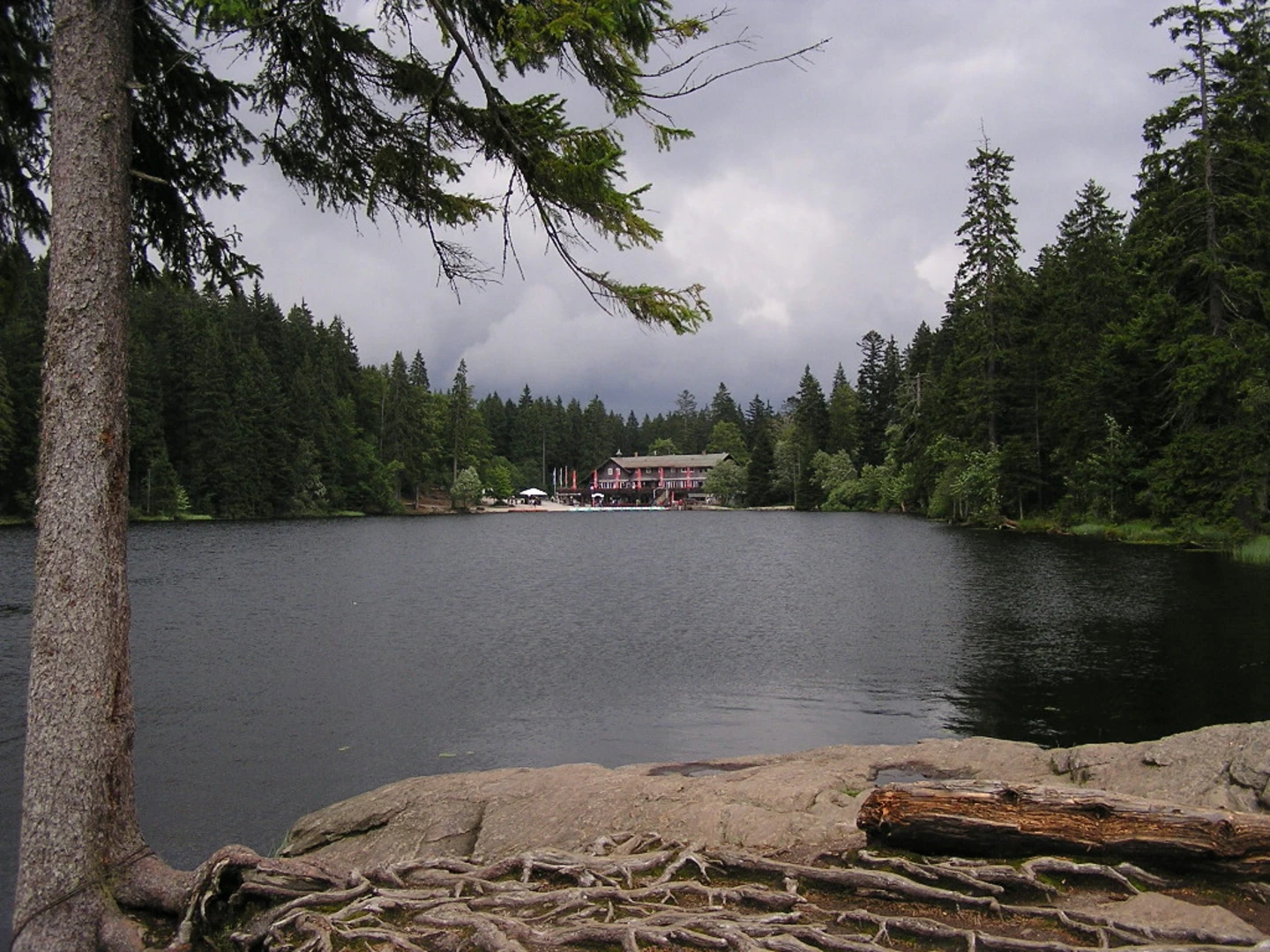 An image depicting the trail Großer Arbersee Loop and its surrounding area.