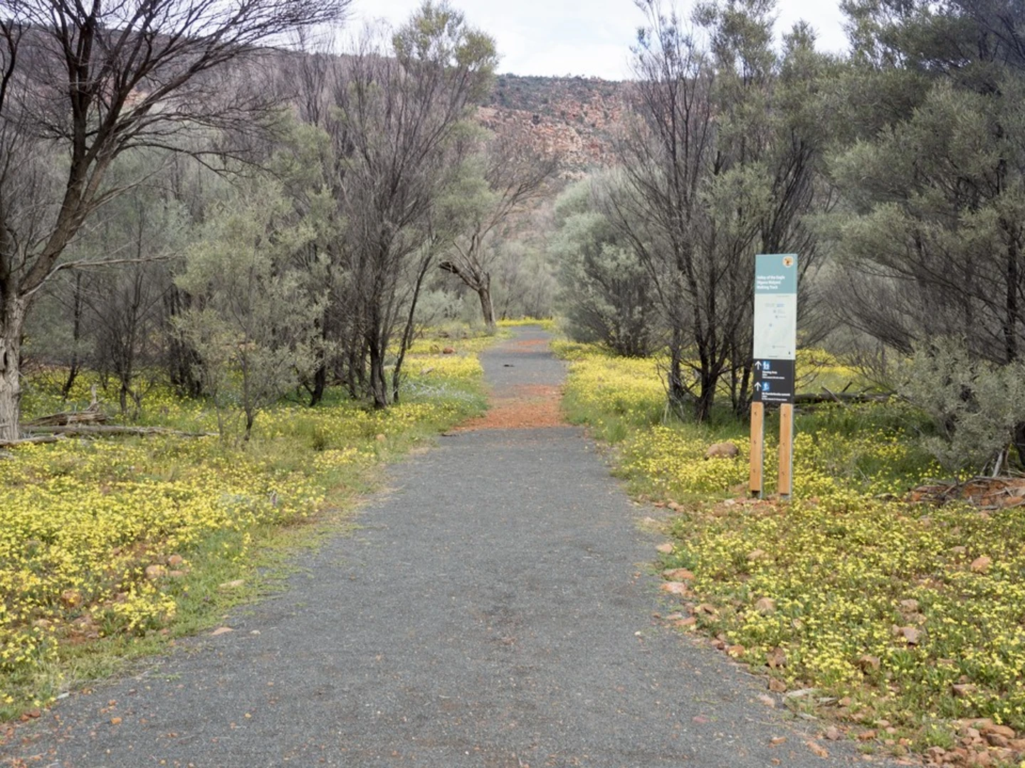 An image depicting the trail Valley of the Eagles Walk and its surrounding area.