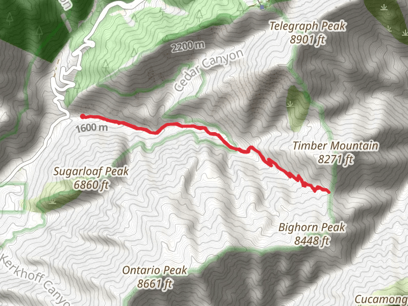 Icehouse Saddle via Icehouse Canyon Trail