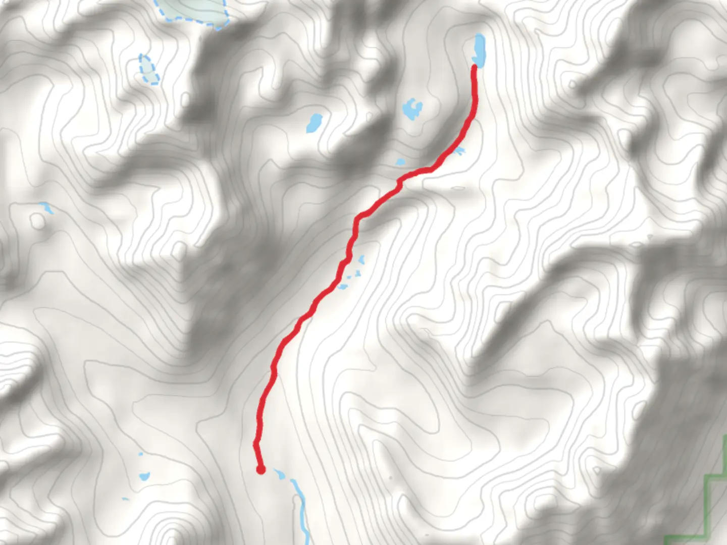 An image depicting the trail Reed Lakes Trail and its surrounding area.