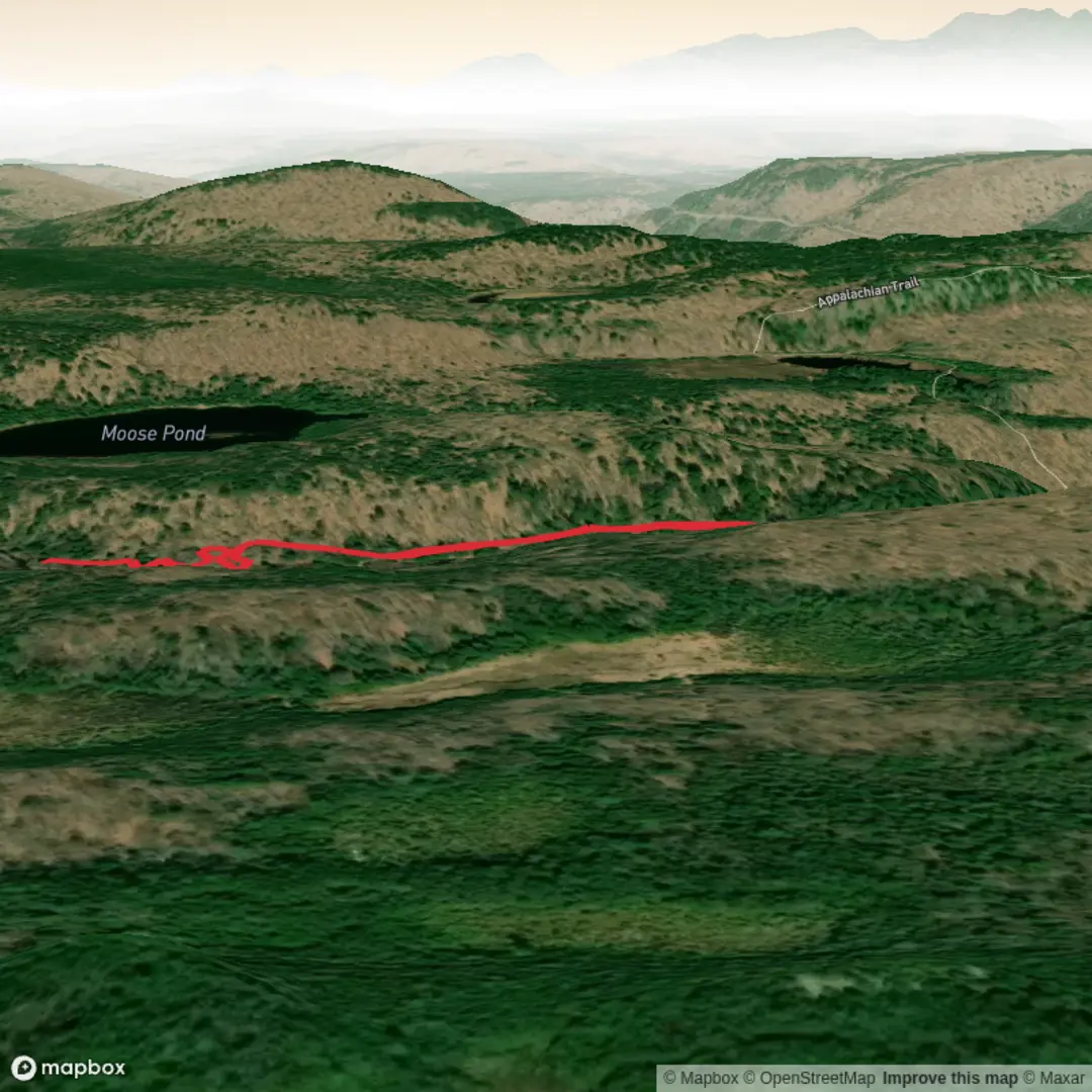 An image depicting the trail Little Wilson Upper Falls and its surrounding area.