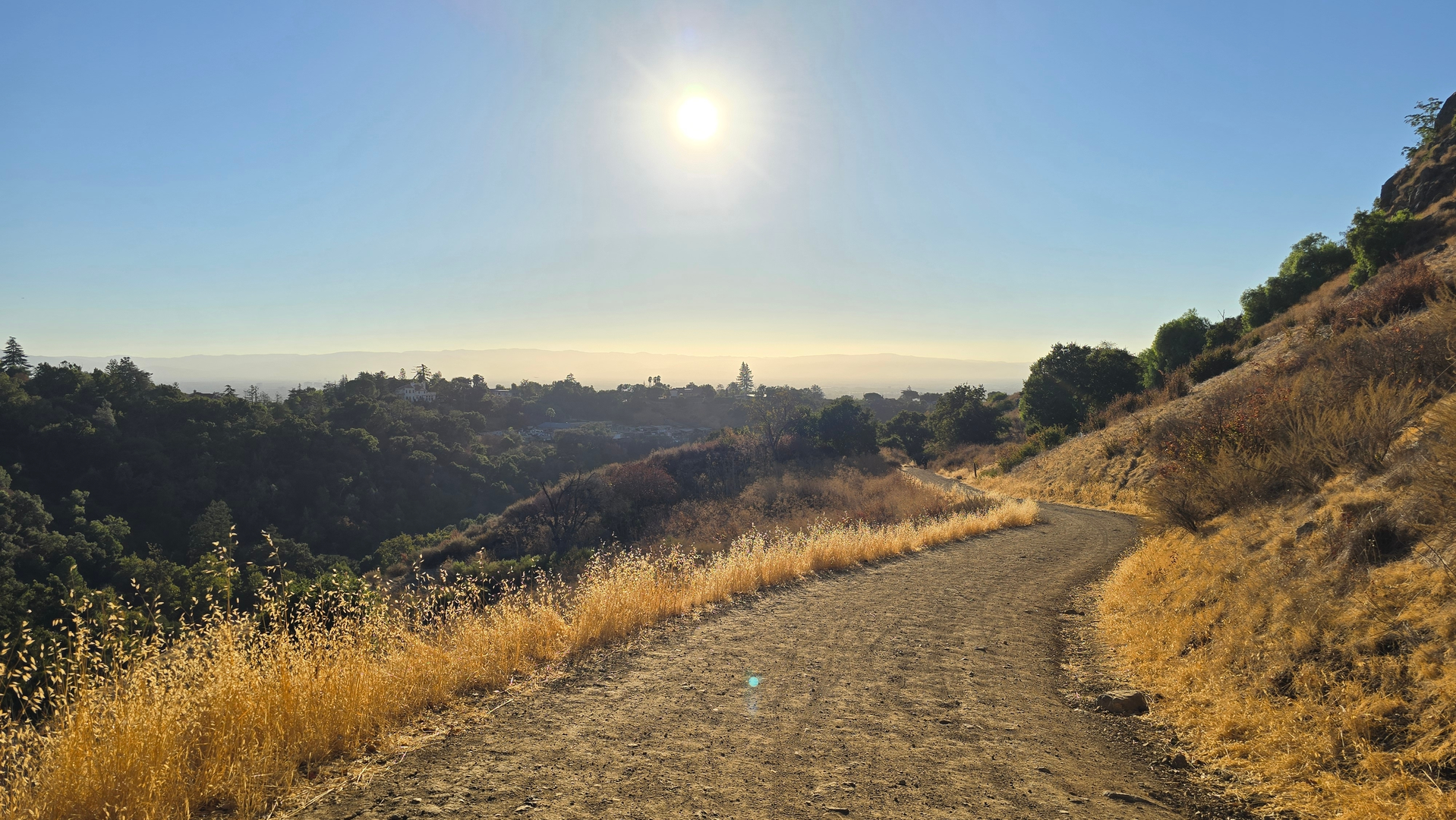 An image depicting the trail Penitencia Creek Trail and its surrounding area.