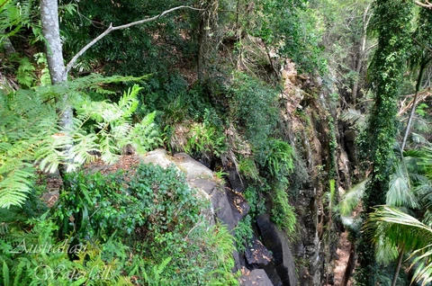 Witches Falls Circuit Track