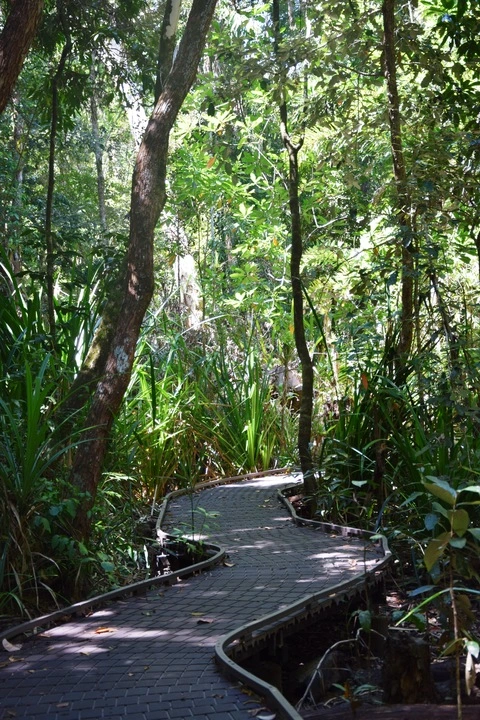Dubuji Boardwalk Loop Walk