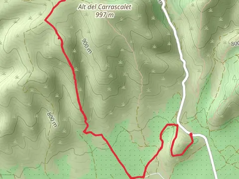 Path of the Llama de les Cabres SL CV 324