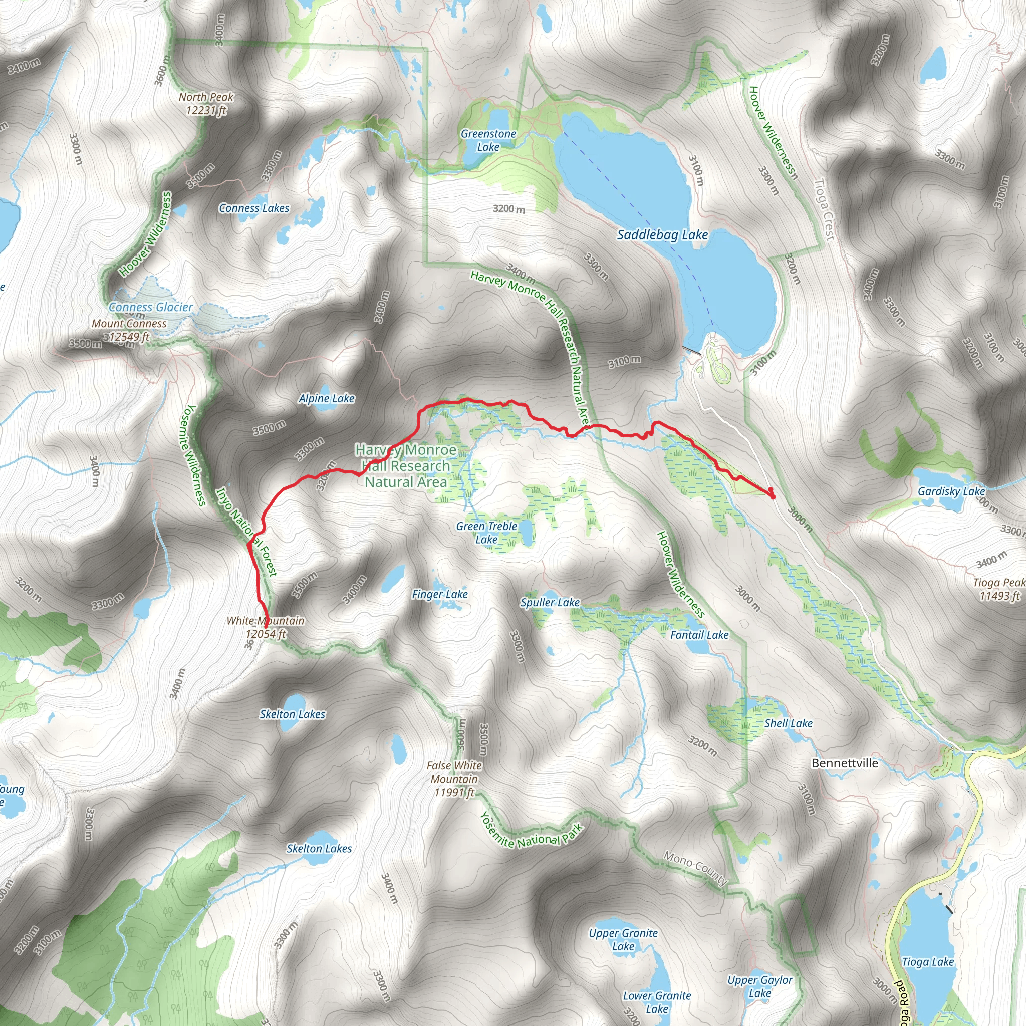 White Mountain via Carnegie Station Trail mobile static map