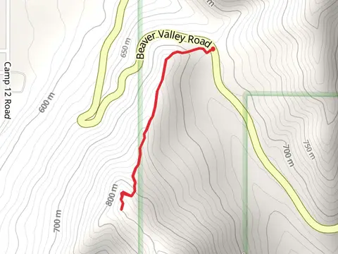 Chumplain Ridge Trail - Short