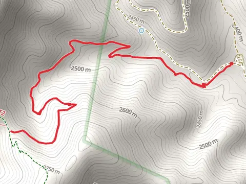 New Canyon Trail