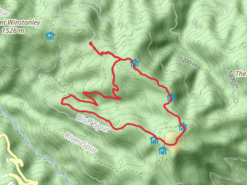 Mt Stirling Summit Interpretive Loop Trail
