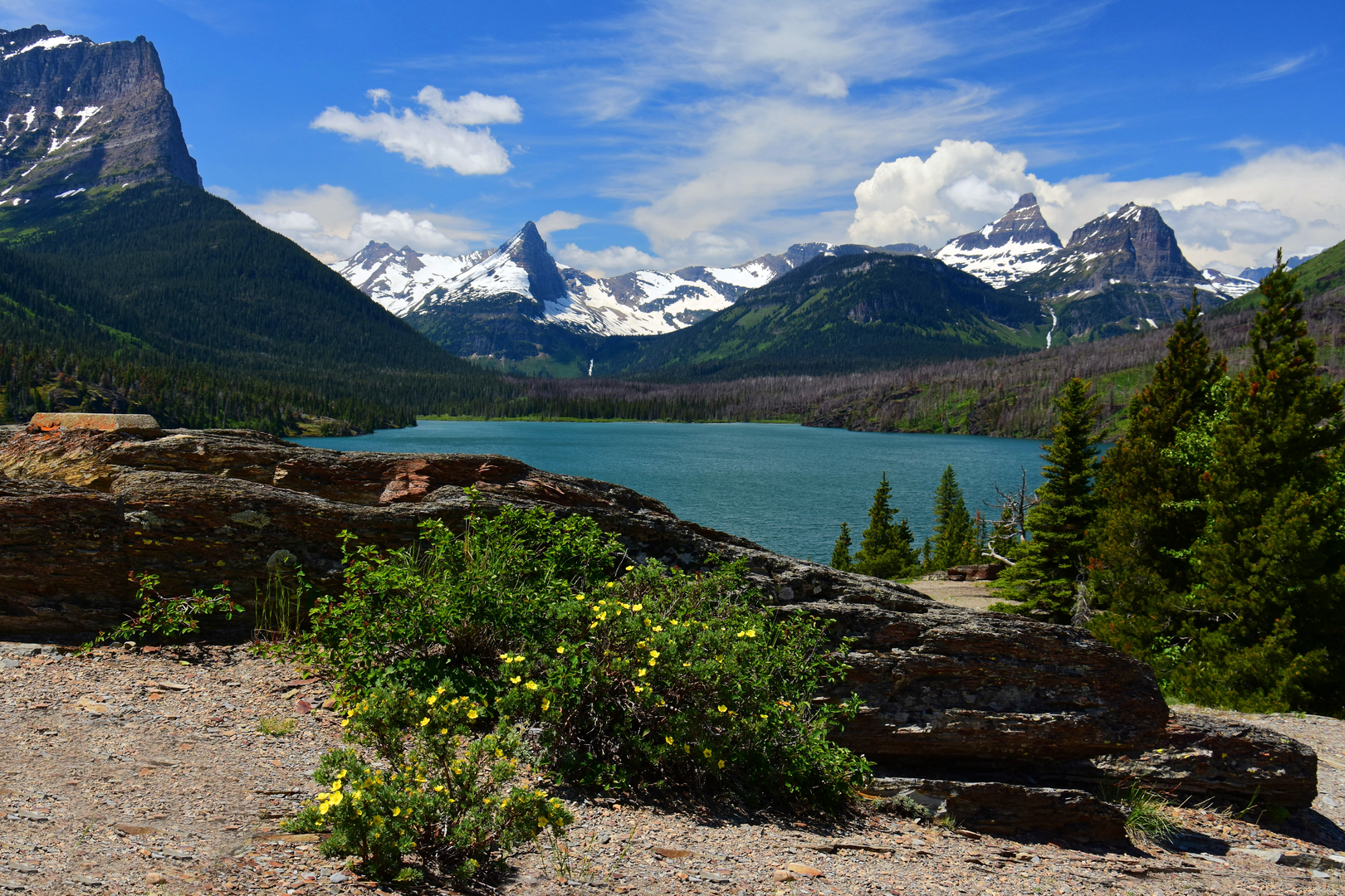 An image depicting the trail Gunsight Pass Traverse and its surrounding area.
