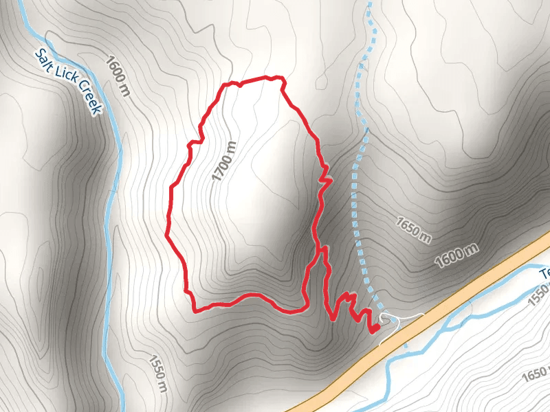 Salt Lick Trail