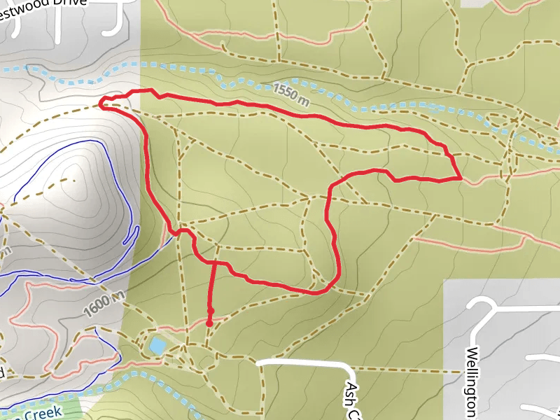 Seven Steps and Jack Rabbit Loop