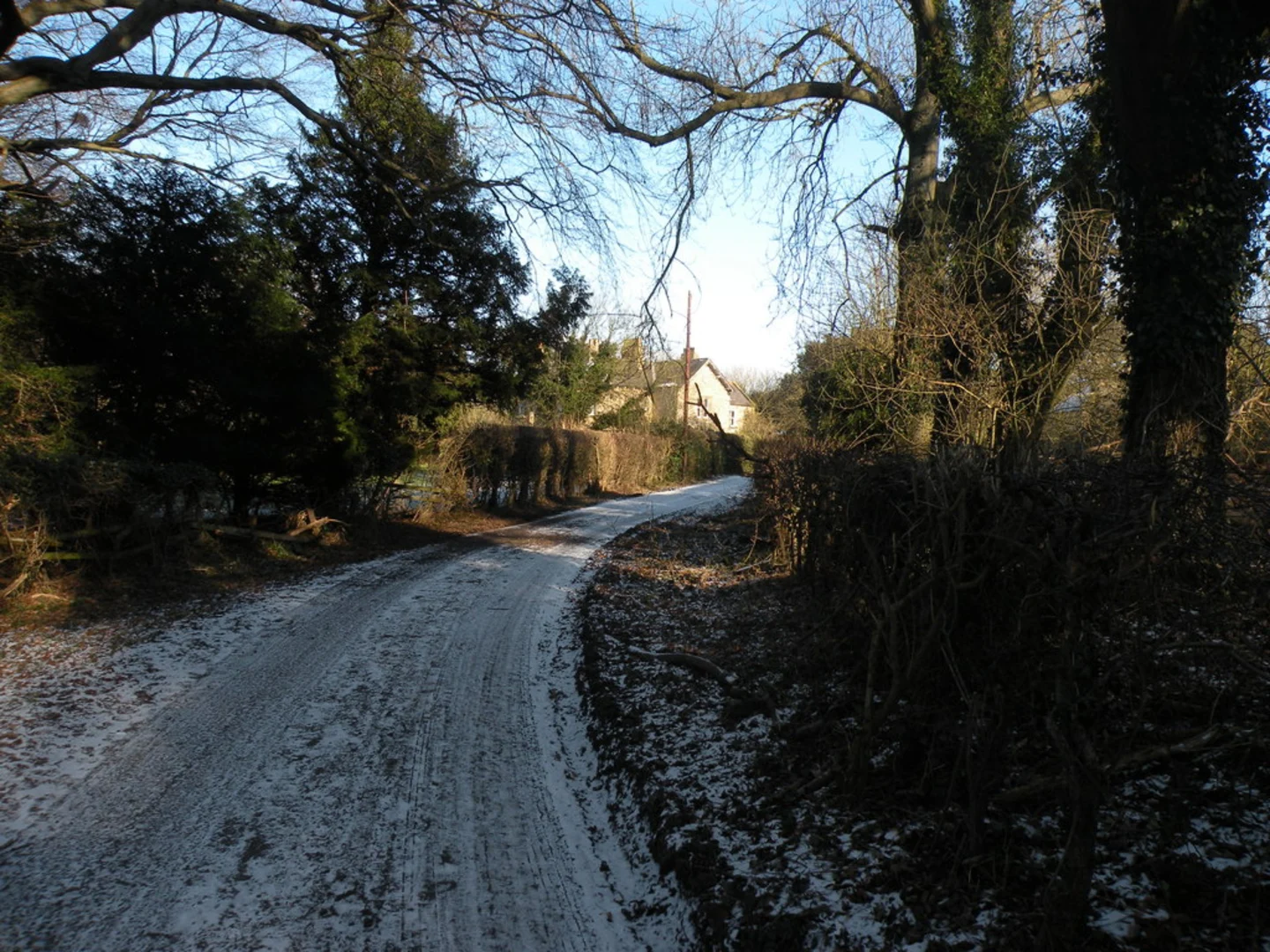 An image depicting the trail Croxdale Wood via Weardale Way and its surrounding area.