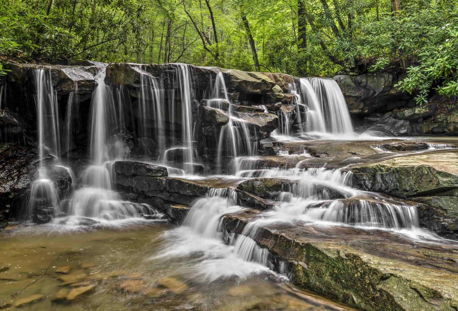 An image depicting the trail Jonathan Run Falls and Sugar Run Falls and its surrounding area.