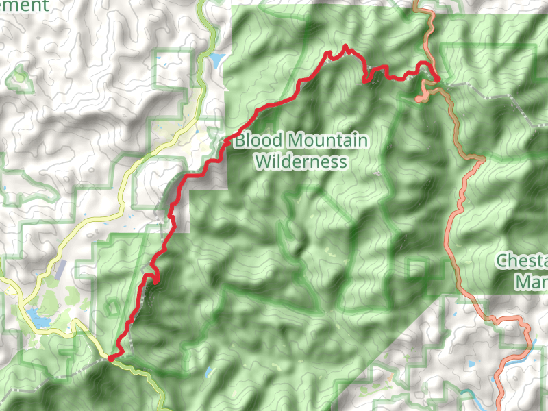 Appalachian Trail from Woody Gap