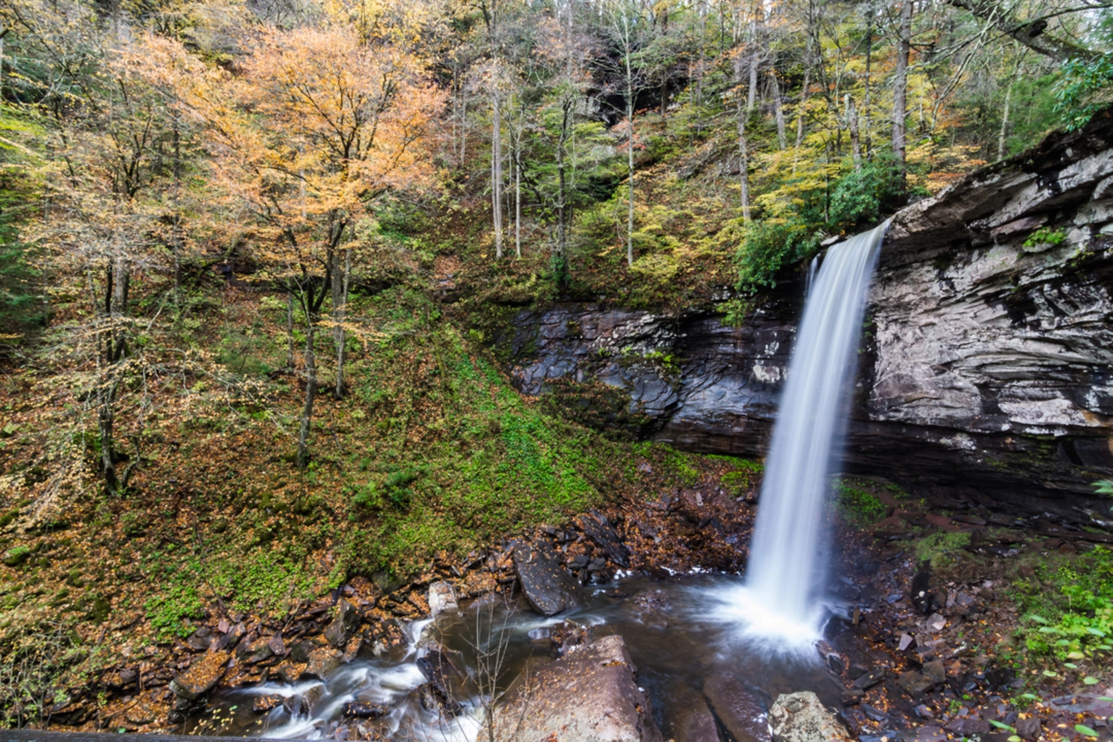 An image depicting the trail Falls of Hills Creek Trail and its surrounding area.