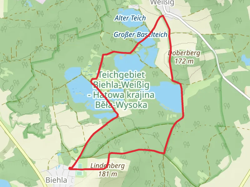 Altteich, Horstteich and Weissiger Grossteich Loop