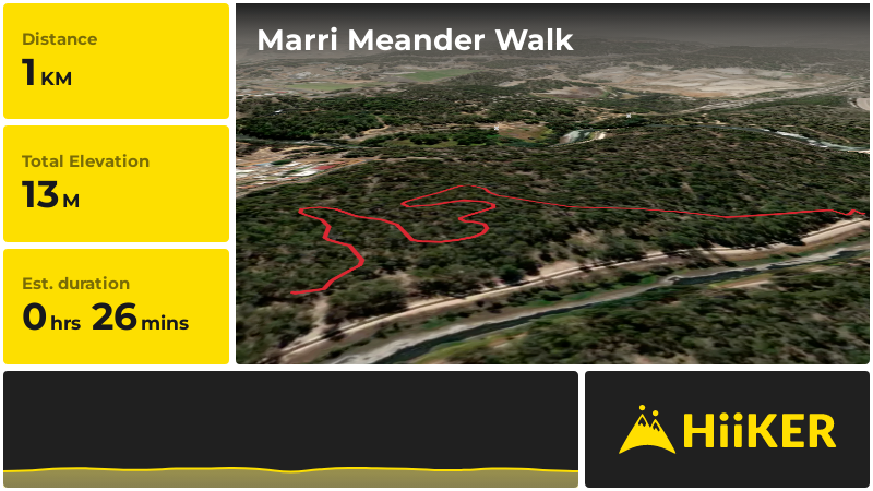 Marri Meander Walk | Collie | Western Australia