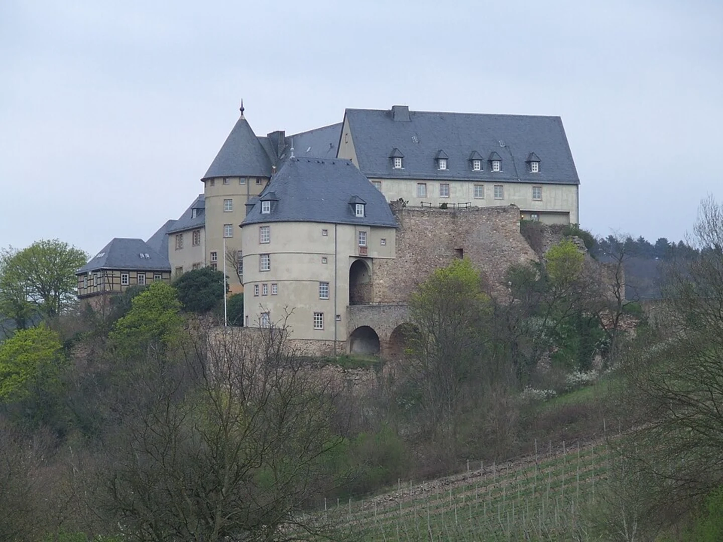 An image depicting the trail Ebernburg and Haus am Tunnel Loop and its surrounding area.