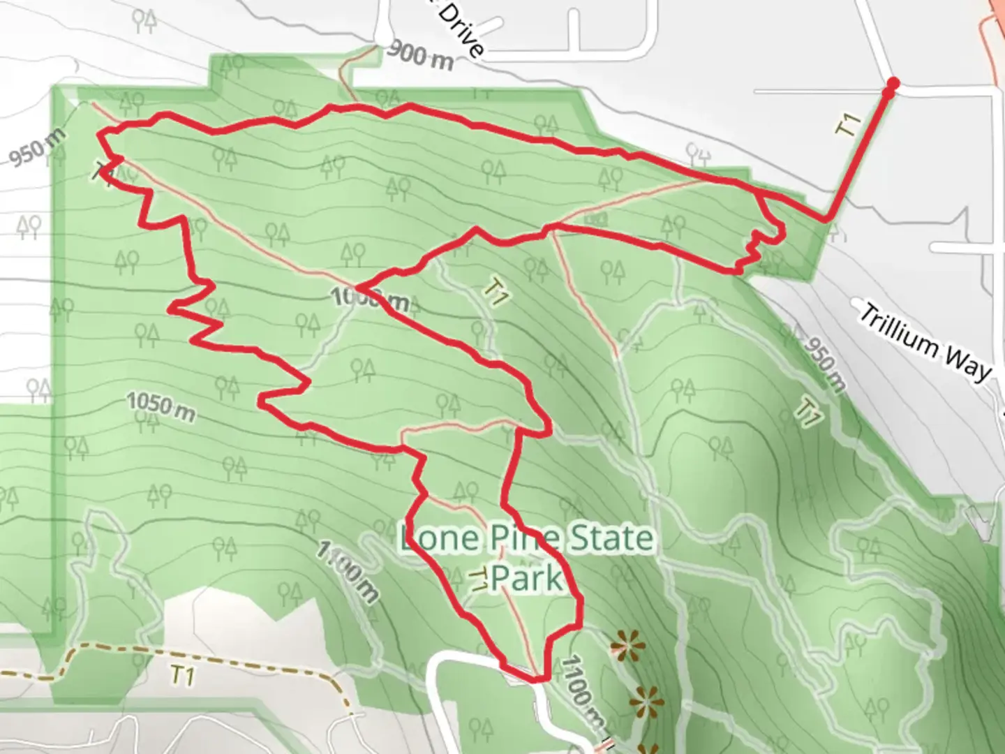 An image depicting the trail Lone Pine and Western Larch Loop Trail and its surrounding area.
