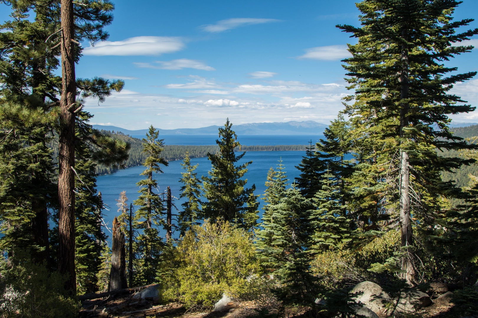 An image depicting the trail Tahoe Mountain and Angora Ridge Loop Trail and its surrounding area.