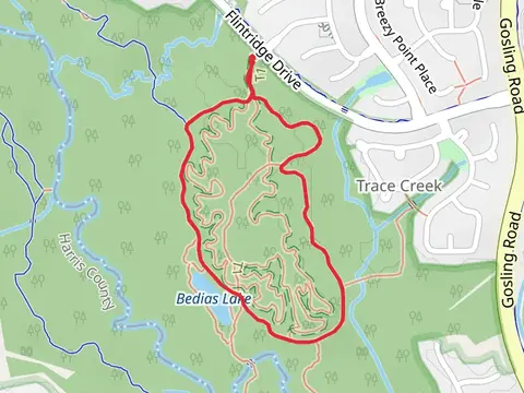 Fitness Loop