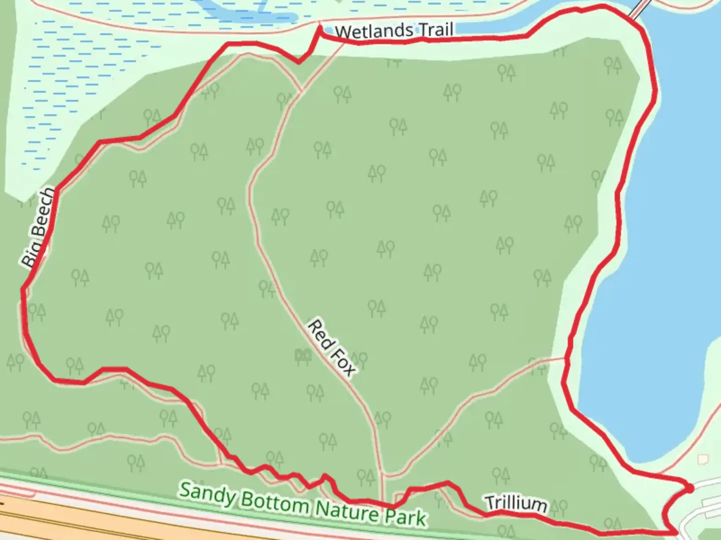 An image depicting the trail Trillium Loop and its surrounding area.