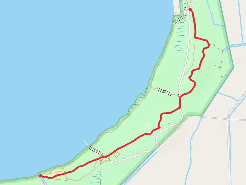Pine Woods Trail