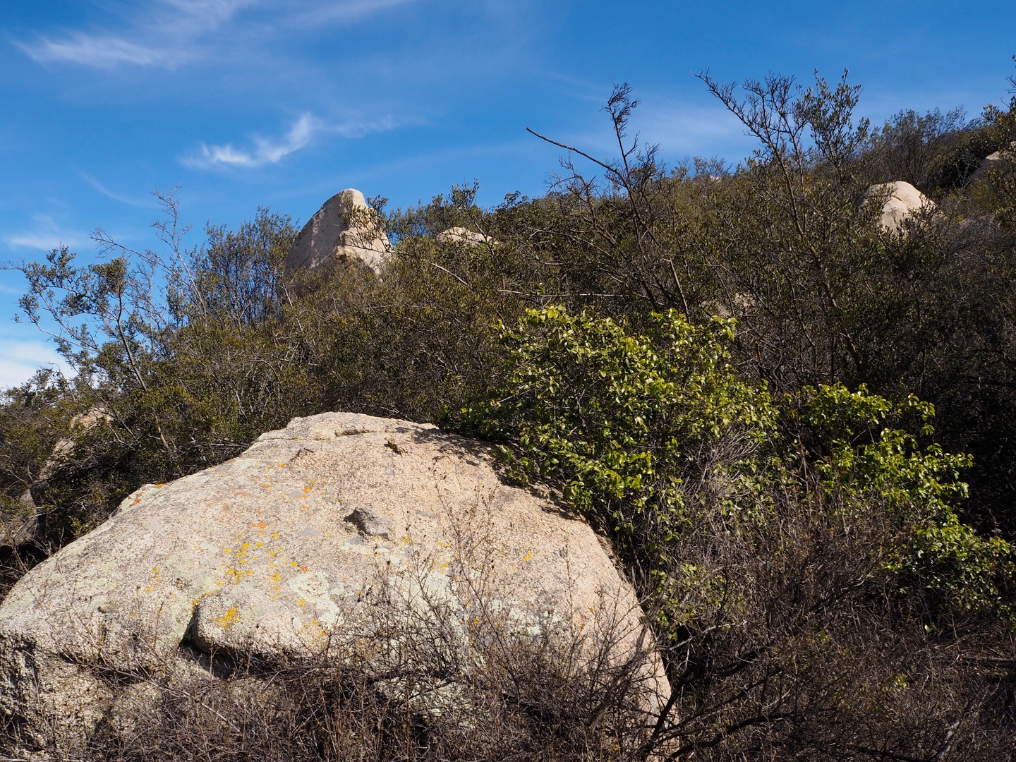 An image depicting the trail San Mateo Creek and its surrounding area.