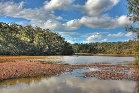 Yeramba Lagoon Loop Track