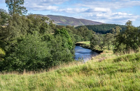 Broad Cairn and Cairn Bannoch from Glen Doll